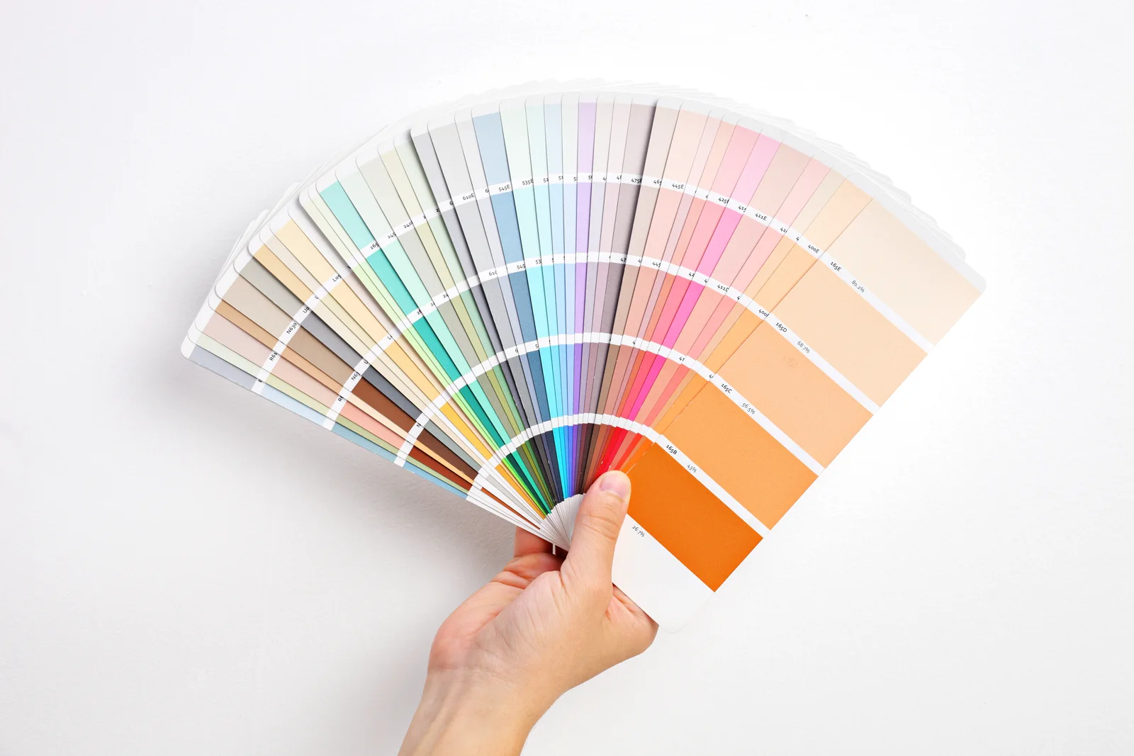 Paint color swatches for choosing a finish